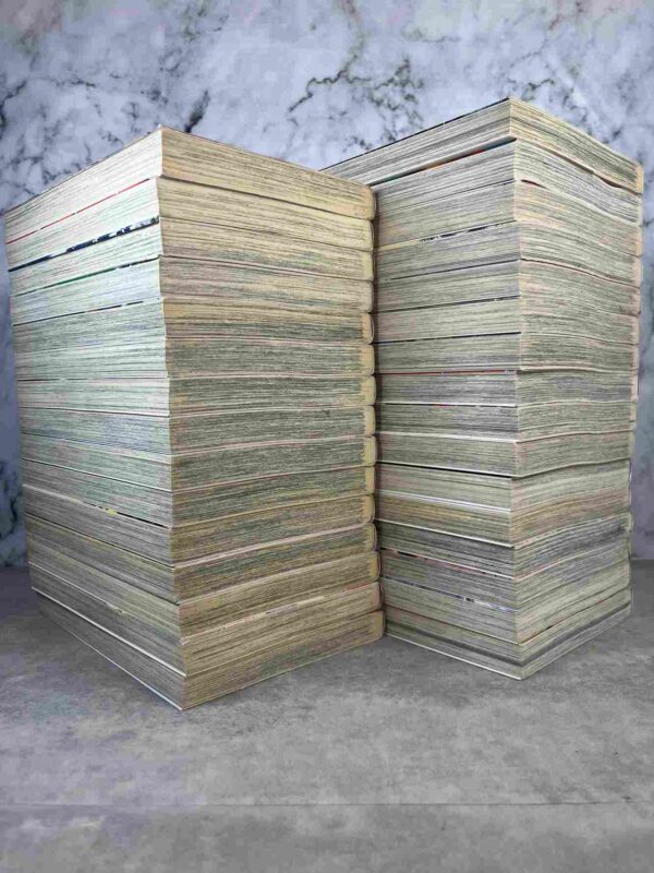 Young Gto :  Collection Complète  - Tomes 1 a 31