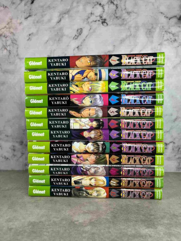 Black Cat   : Tomes 1 a 12