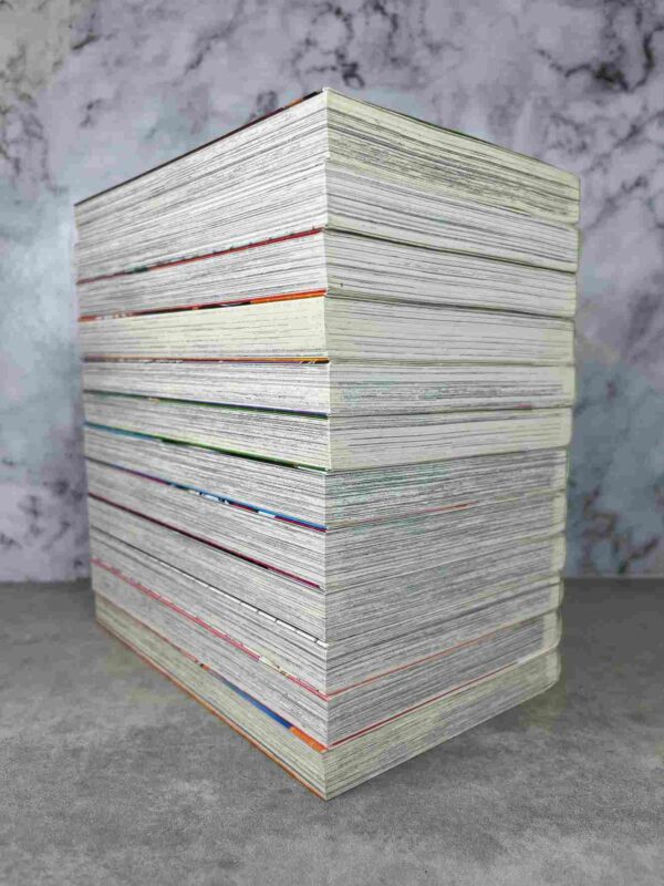 Black Cat   : Tomes 1 a 12