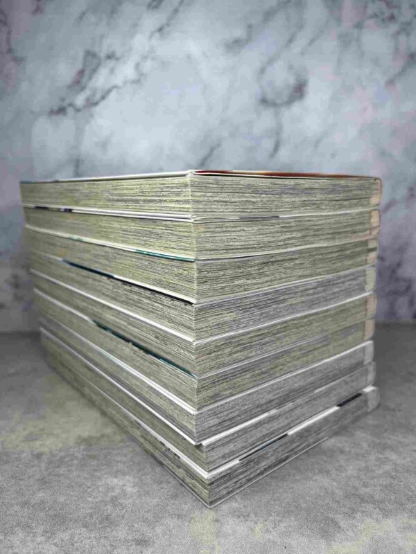 Radiant  :  Tomes du 1 au 9