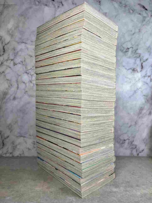 Switch Girl !!  - Collection Complète : 25 Tomes