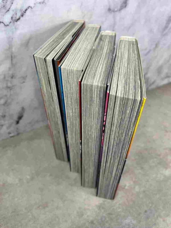 Vigilante - My Hero Academia Illegals : Tomes du 1 au 4