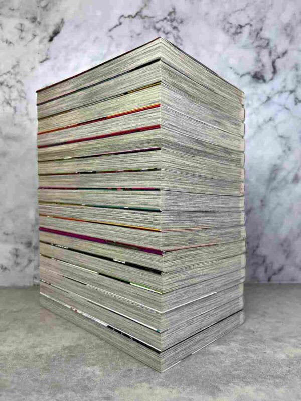 Masked Noise  : Tomes  du 1 au 16