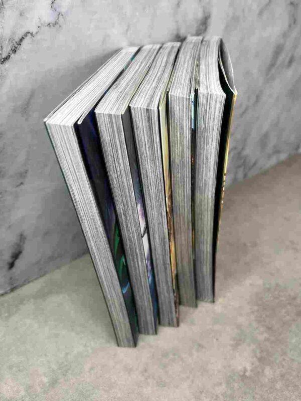 The Legend Of Zelda   : Tomes 1 au 5