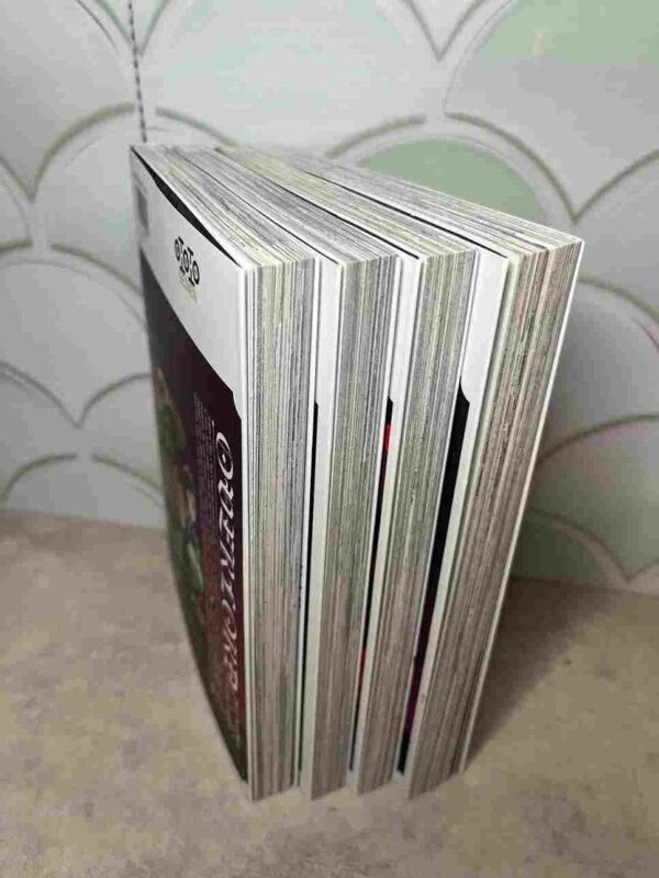 Overlord : Tomes 1 a 4