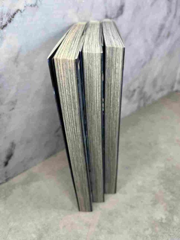 La Brigade Temporelle - Le Visiteur Du Futur : Collection Complète - 3 Tomes