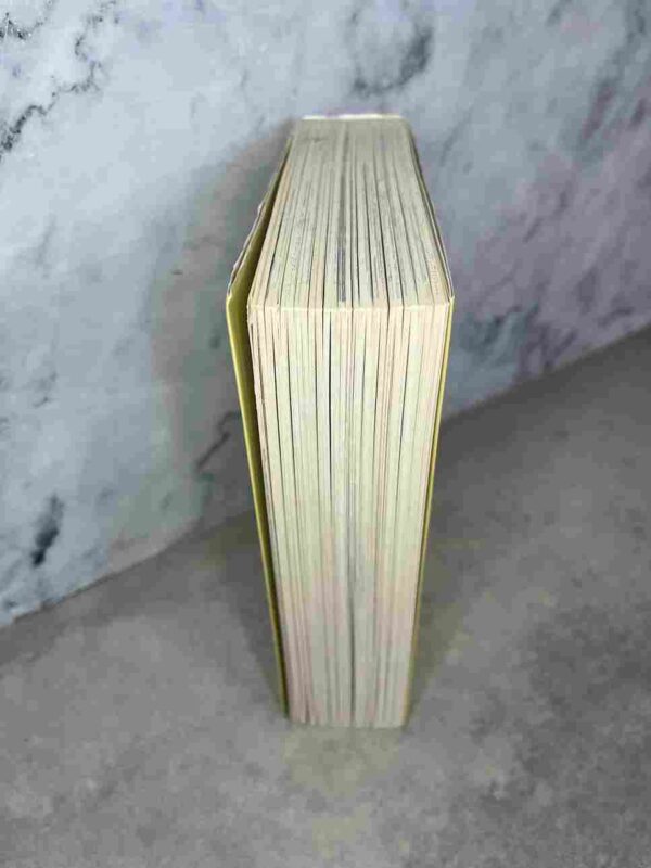 Je Ne Suis Pas Un Ange   - Perfect Edition :  Tome 1