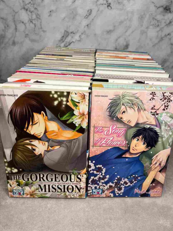 Lot de manga  - Édition Boy's Love - Yaoi    :  31 Tomes