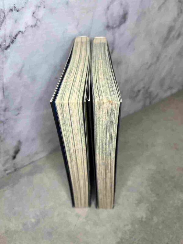 Darker Than Black : Tomes du 1 au 2