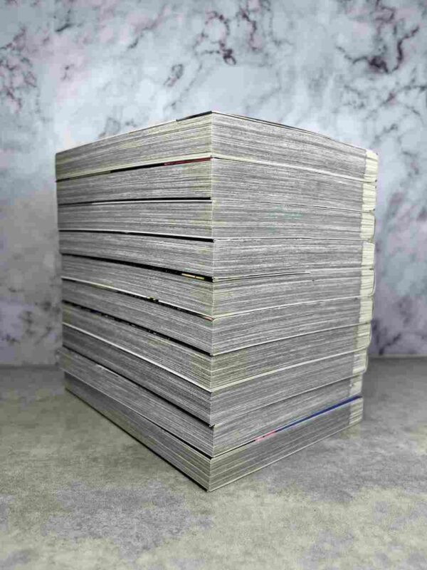 Last Hero Inuyashiki : Collection Complète - 10 Tomes