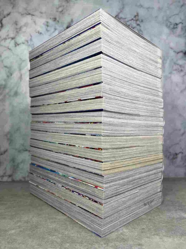 Saint Seiya - Saintia Sho  :  Collection Complète - 17 Tomes