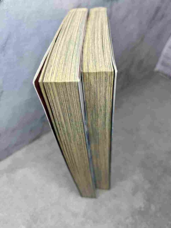 Tale of Fairy Tail - Ice Trail  : Collection Complète - 2  Tomes