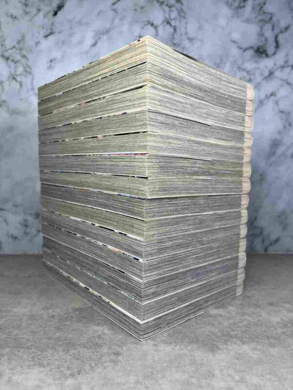 Rikudo - Riku-Do La rage aux poings : Tomes du 2 au 15