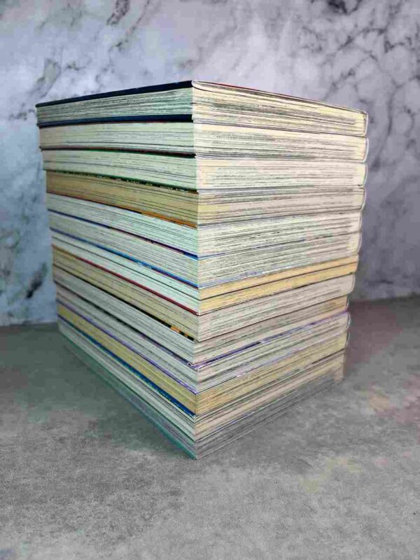 GangKing  : Tomes 1 a 12 + 14 / 17 sans le tome 8