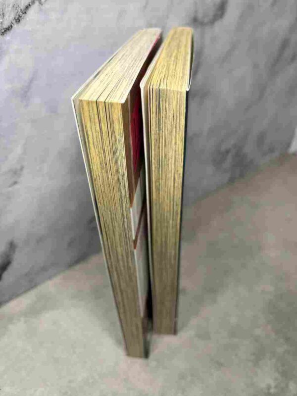 Love Mission : Tomes 1 et 2