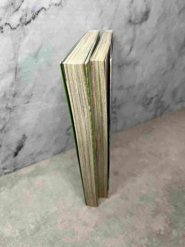 Chocolate Cosmos  : Tomes du 3 et 4