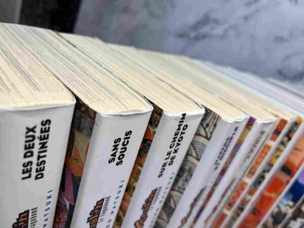 Kenshin Le Vagabond :  Collection Complète - 14  Tomes Doubles