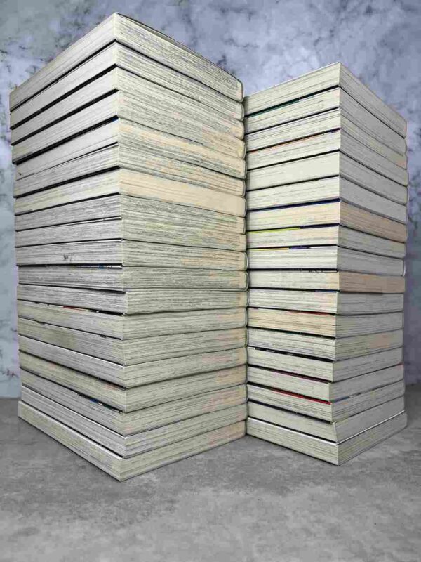 Dragon Quest - Fly - Collection Complète : 37 Tomes