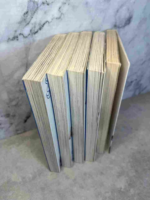 Bleach :  Tomes  1 a 5