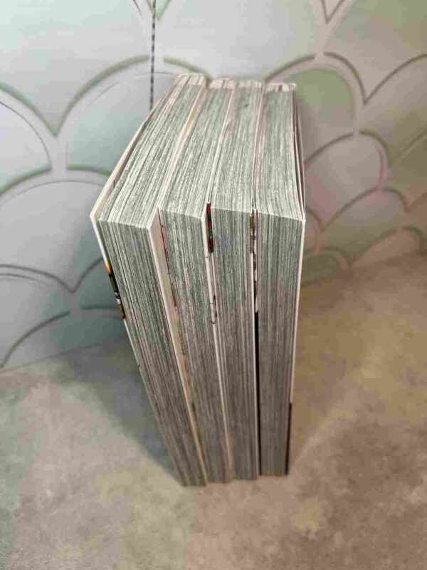 DoppleGanger : Collection Complète - 4 Tomes