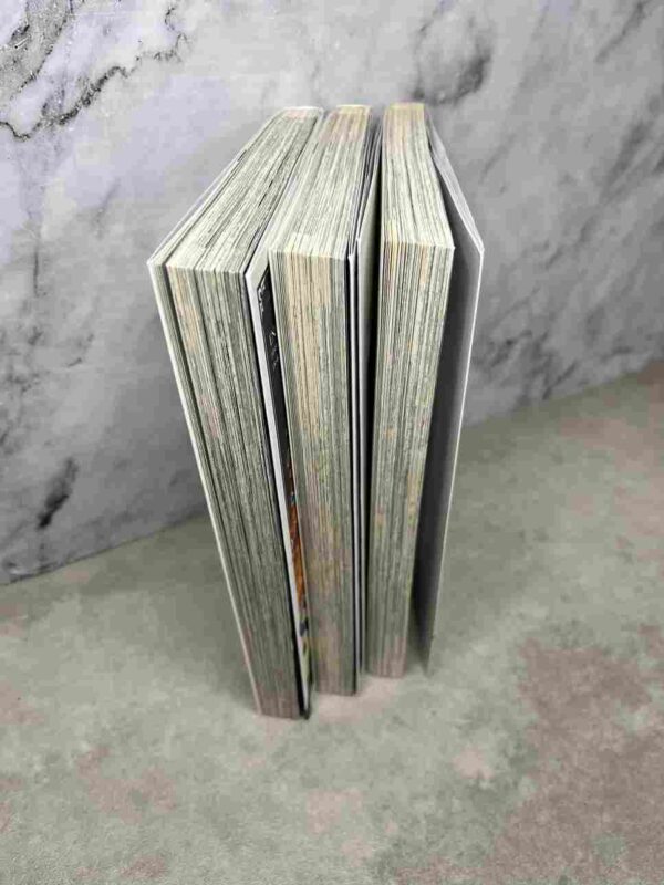 The Reincarnated Swordmaster - Collection Complète : 3 tomes