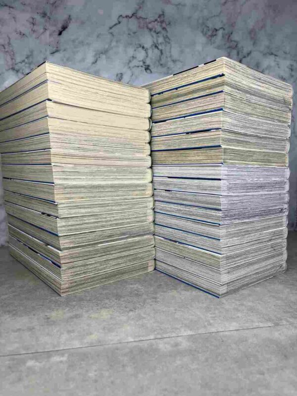 Bleach : Tomes 1 au 30 ( sans le tome 22 )