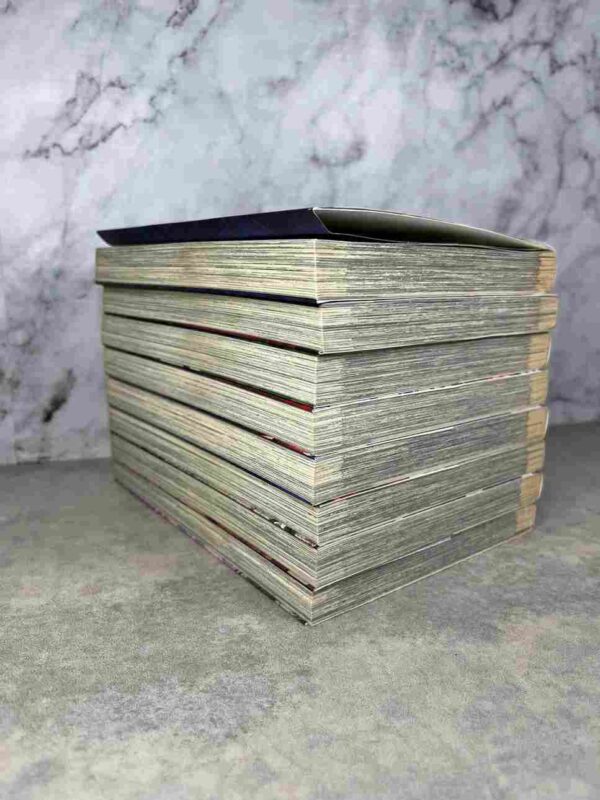 X Blade  : Tomes du 1 au 8