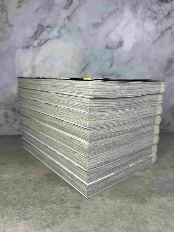 Chilin ' Life in a Different World : Collection Complète - 8 Tomes ( Serie en cours )