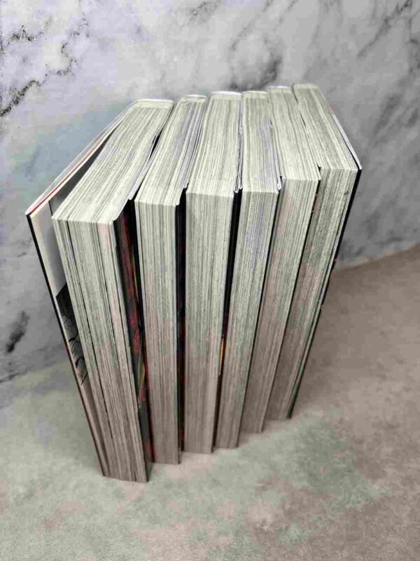 Goblin Slayer - Year One  :  Tomes du 1 au 6