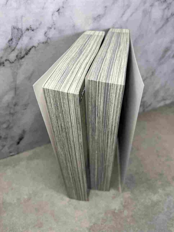 Darker Than Black : Collection Complète - 2 Gros Tomes