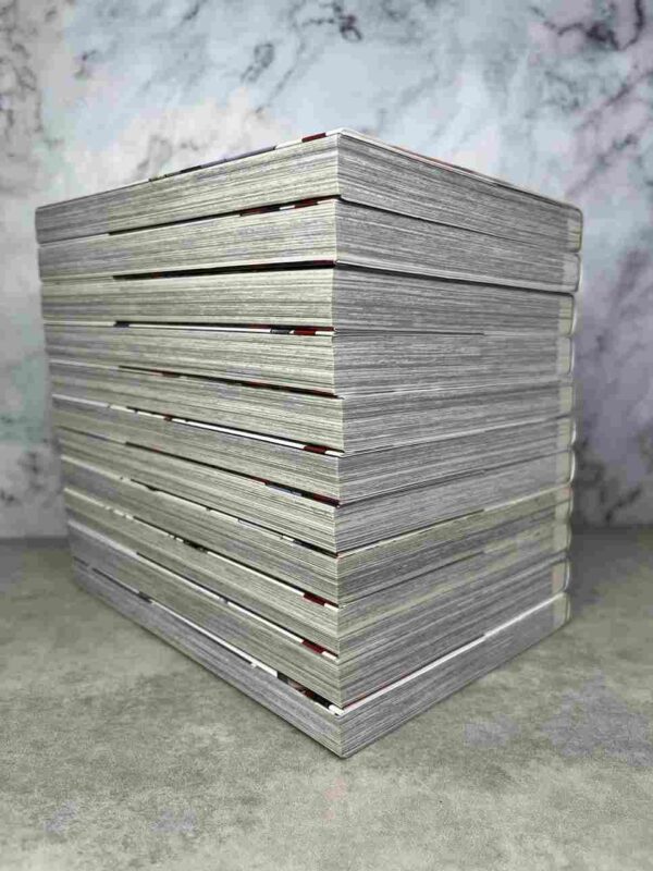 Goblin Slayer  : Tomes du 1 au 11