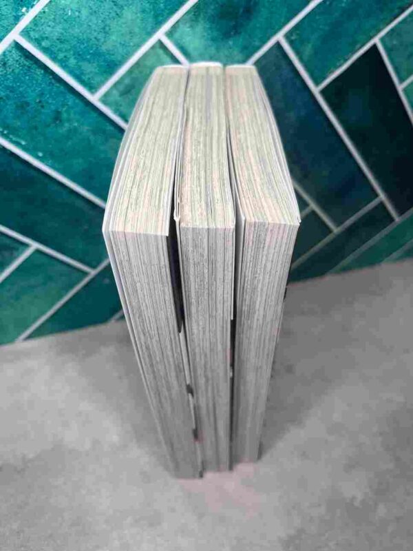 Bungo Stray Dogs  : Tomes 1 a 3