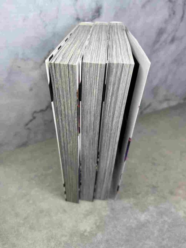 Succubus Et Hitman : Tomes du 1 au 3