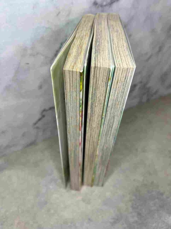 Journal D'une Fangirl : Collection complète - 3 Tomes