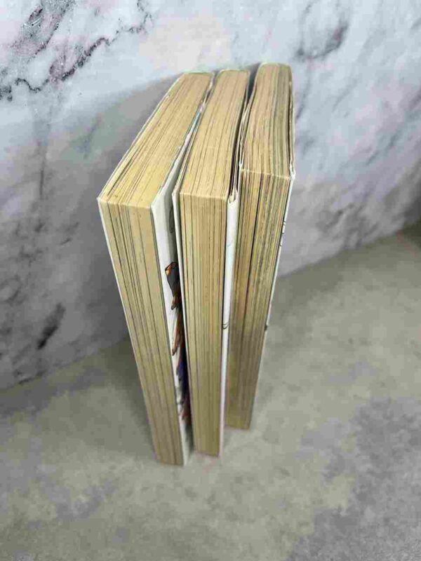 Punisher  : Tomes du 1 au 3