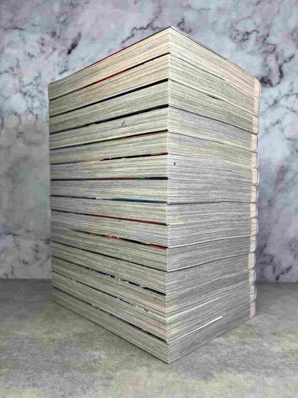 Silver Wolf  :  Tomes 1 a 14