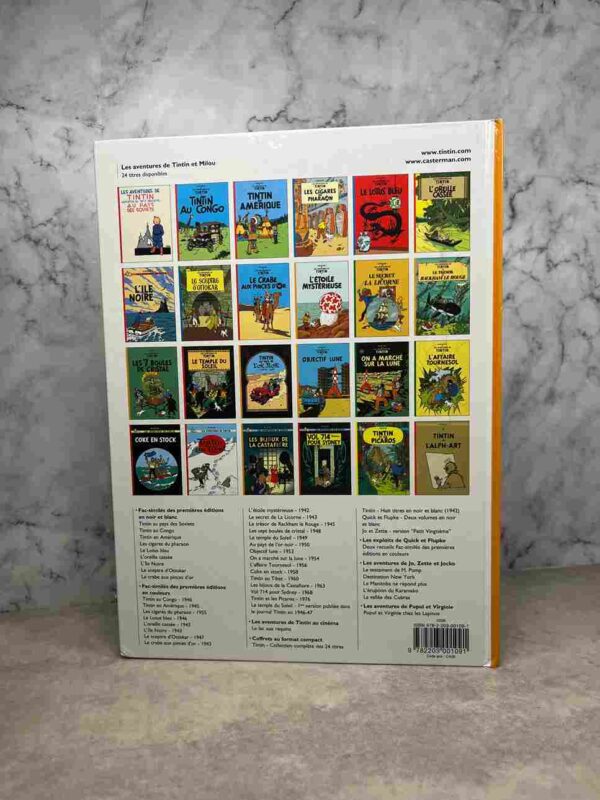 Tintin et L’étoile Mystérieuse