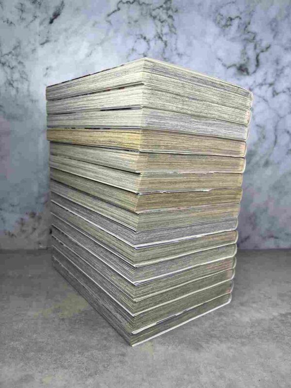 Les Ailes Du Phenix : Collection Complète - 15 Tomes