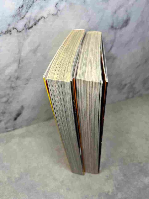 Red Eyes Sword : Tomes du 12 et 13