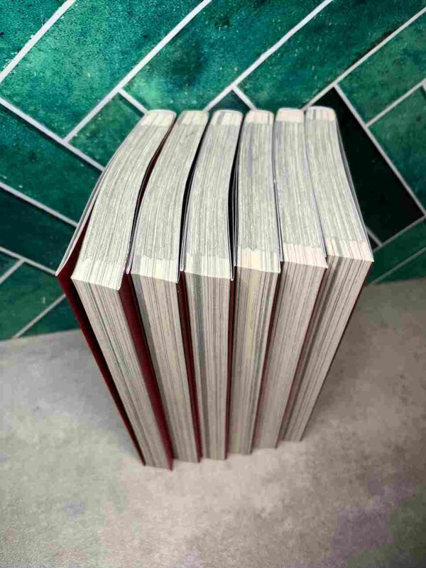 NeuN  :  Collection Complète - 6 Tomes