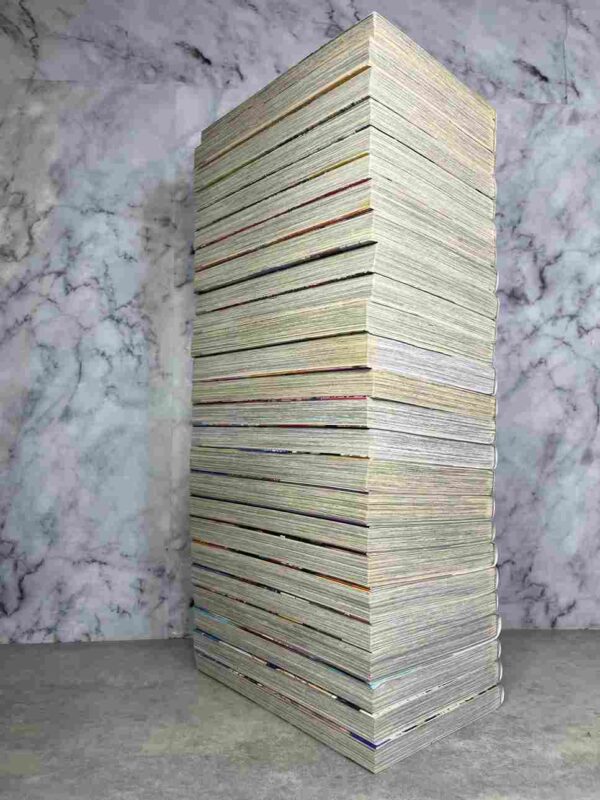 Switch Girl !!  - Collection Complète : 25 Tomes