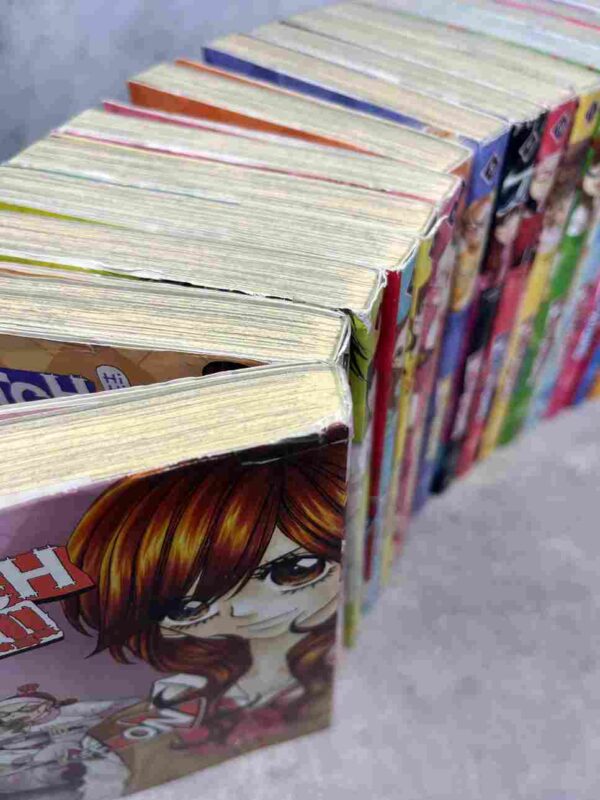 Switch Girl !!  - Collection Complète : 25 Tomes