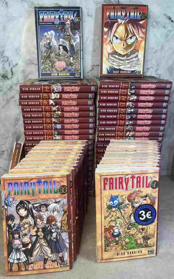 Lucy, jeune magicienne, rêve de rejoindre la fameuse guilde de magiciens, la Fairy Tail. Après sa rencontre avec Natsu et Happy, un chat intrépide