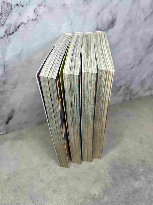 Fairy Girls : Collection Complète - 4 Tomes