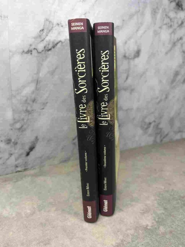 Le Livre Des Sorcieres  : Tomes 1 et 2