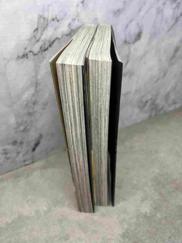 Le Livre Des Sorcieres  : Tomes 1 et 2