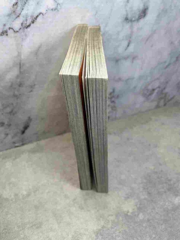 Resident Evil - Heavenly Island  : Tomes 4 et 5