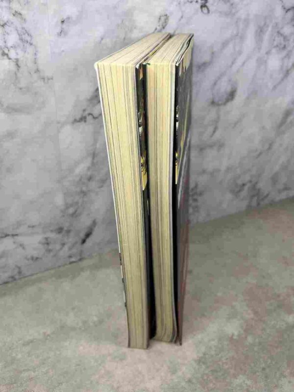 Walking Dead : Tome 28 et 29