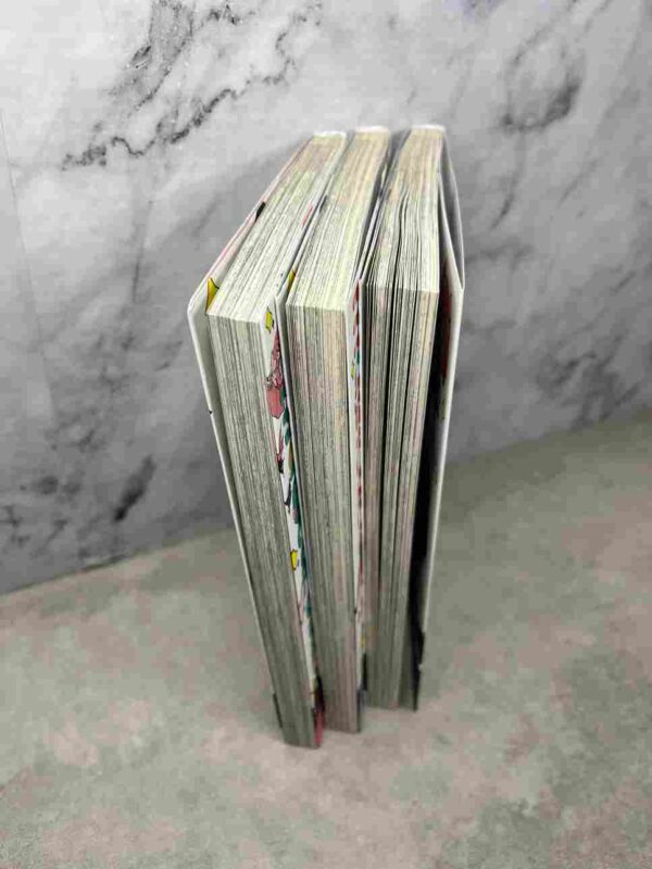 Looking up to Magical Girls : Tomes 1 a 3