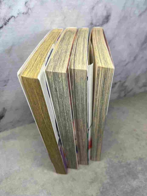 Ga-Rei / Garei - La bête Enchainée : Tome du 1 au 4